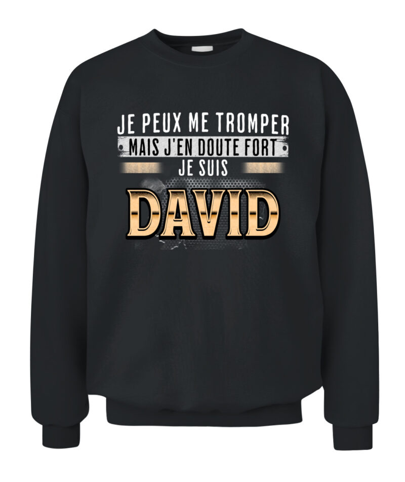 Davidfr – Image 11