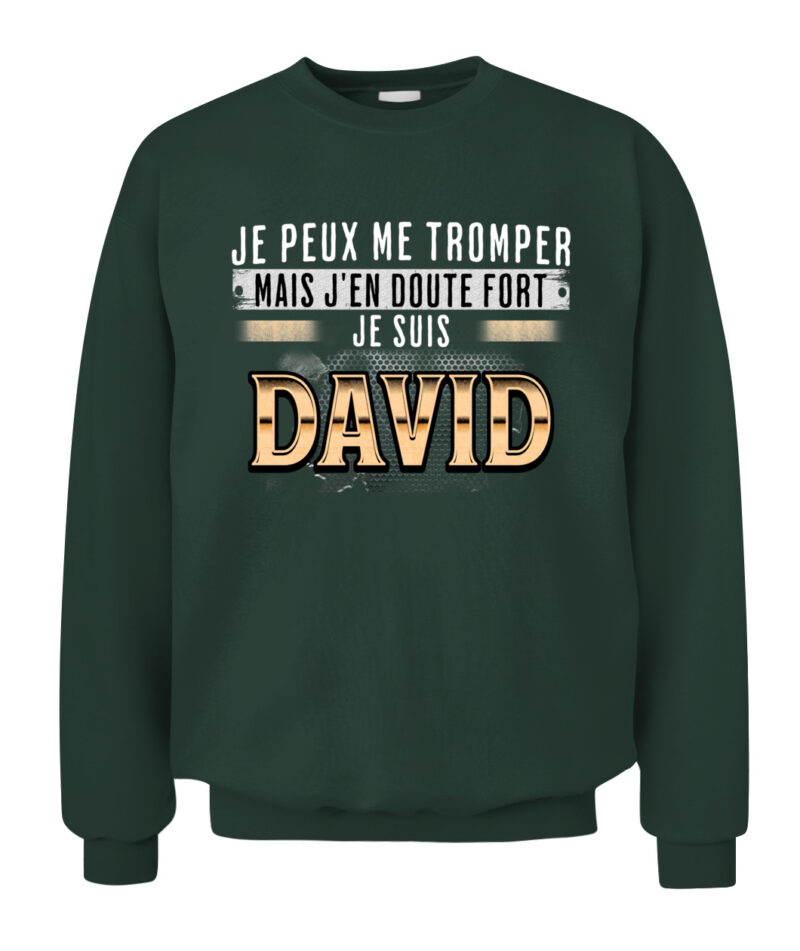 Davidfr – Image 12