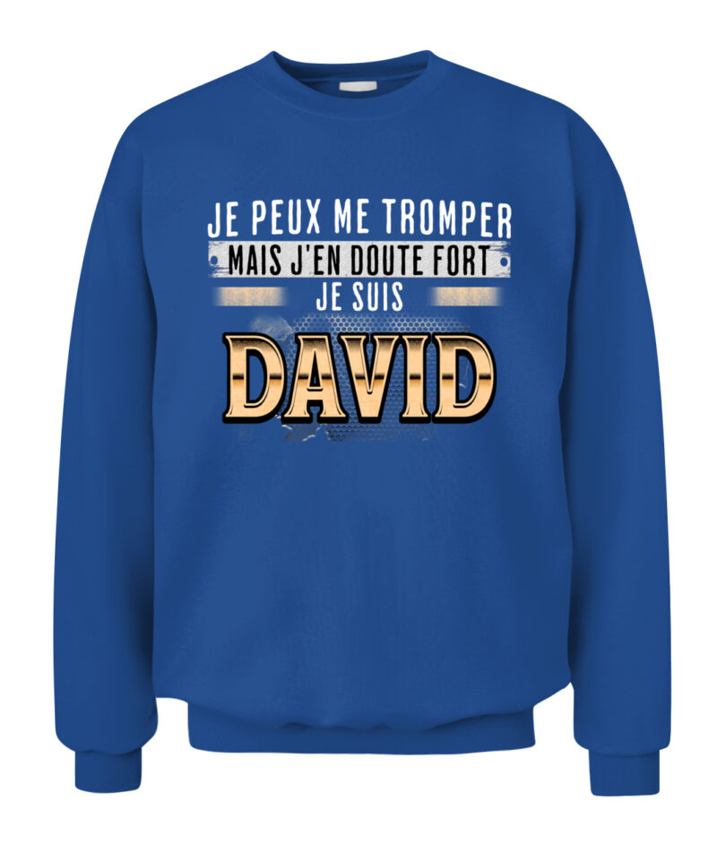 Davidfr – Image 14